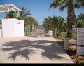 Riu Palm Azur - Voyages Laurence SPRL (72)